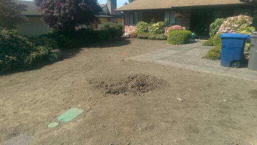 Front Lawn Before